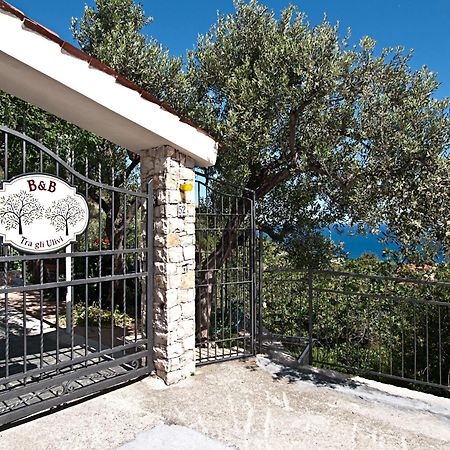 Tra Gli Ulivi Bed & Breakfast Pietra Ligure Exterior photo