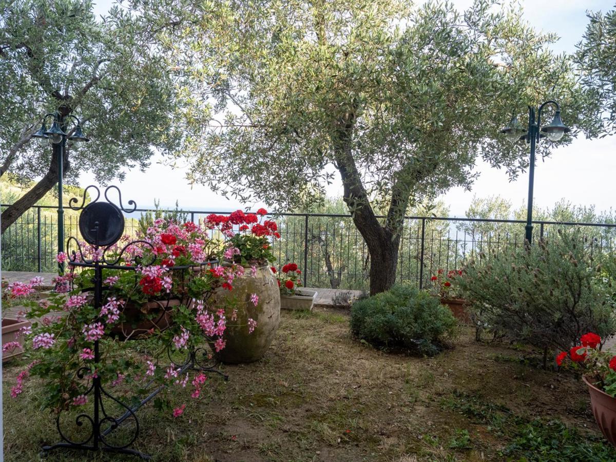 Tra Gli Ulivi Bed & Breakfast Pietra Ligure Exterior photo